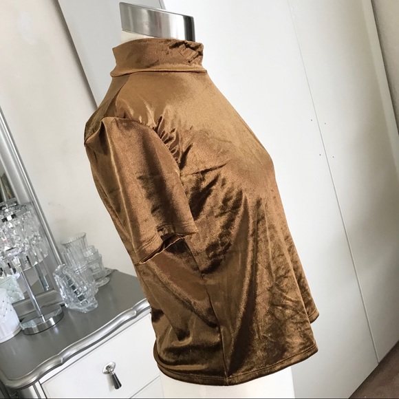Zara Mock Neck Top Velvet Medium NWOT - Picture 3 of 5